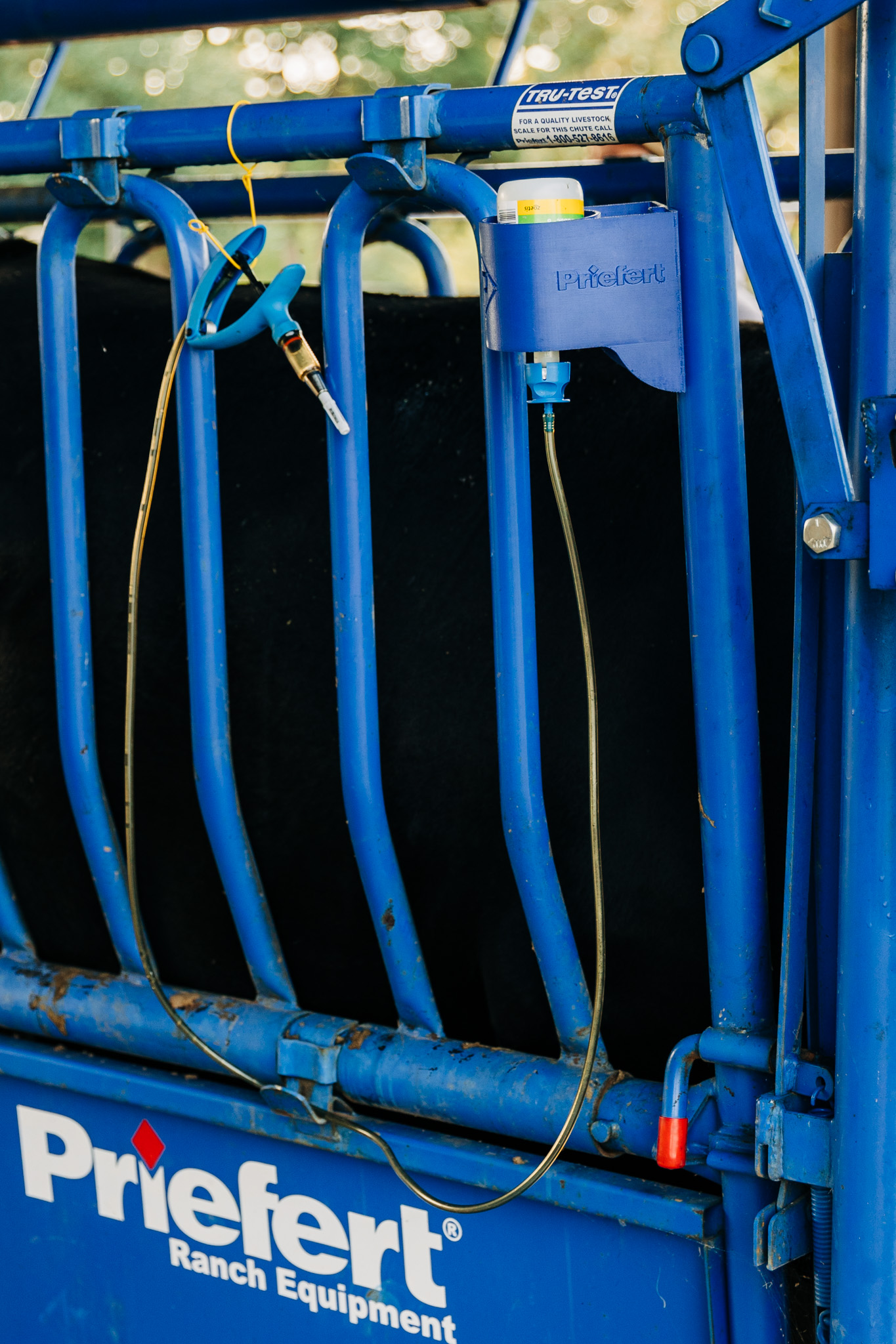 Cowboy Cupholder SR 3495 2.jpg